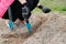 Springtime spring seasonal work, planting in cultivated soil of pumpkin seed