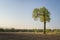 springtime sunrise over farmland in Missouri with lonely tree