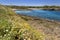 Springtime: Torre Guaceto Nature Reserve Apulia-ITALY-