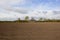 Springtime trees and cultivated field