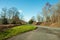 Springtime trees in a layby the British countryside.