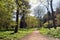 Springtime trees and park paths.