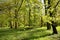 Springtime trees and silhouettes along a park path.