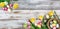 Springtime tulips and daffodils with colorful eggs on rustic wooden boards for Easter holiday background