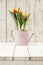 Springtime, tulips potted flowers in watering can on wooden