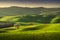 Springtime in Tuscany, rolling hills and trees. Pienza, Italy