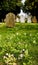 Springtime view of old gravestones seen in an english cemetery