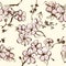 Springtime wallpapper with apricot blossom vector sketch