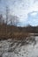 Springtime Wetland Forest. Early Spring With Melting Ice And Snow