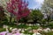 Springtime in Yampa River Botanical Gardens