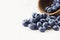 Sprinkled blueberries on white background. Ripe blueberries with copy space for text.
