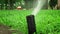 Sprinkler automatic lawn watering system sprays water in a circle