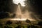 sprinkler creating circular mist in the warm summer evening