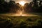 sprinkler creating circular mist in the warm summer evening