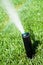 Sprinkler grass automatic watering