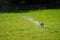 Sprinkler grass working system, working on the field in the garden