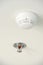 Sprinkler and smoke detector