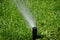 Sprinkler Spraying Water on Lush Green Lawn Yard