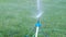 Sprinkler system working on fresh green grass. Aut