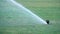 Sprinkler system working on fresh green grass on football, soccer stadium
