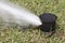 Sprinkler watering in golf course