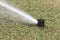 Sprinkler watering in golf course