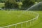 Sprinklers on racecourse