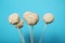 Sprinkles cake pop dessert. Blue background