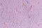 Sprinkles glitter purple wavy paper wallpaper background