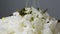 Sprinkling Wasabi furikake on top of Japanese white rice close up