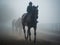 A Sprint in the Mist at the Japan Cup