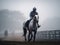 A Sprint in the Mist at the Japan Cup