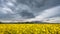 Sprint time in Transylvania , clouds and flowers of rapeseed  with mountains in the background