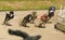 Sprinting dynamic greyhound on the race course