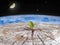 sprout breaking out of a tree against backdrop of space. Global climate change