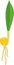 Sprout of Corn maize plant with green leaf, yellow seed and root