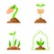 Sprout flat icons plant orgainc sapling vector set