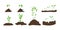 Sprout in ground icons set, sapling seedling illustrations, green plant grows. Spring gardening collection of seedlings