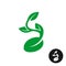 Sprout logo. One shape style plant with seed and green leaves