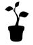 Sprout. Plant in flowerpots - black vector silhouette for pictogram or logo. Home plant sign or icon. Gardening - seedlings in a f