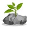 Sprout of plant with small green leaves breaks through stone. Victory of wildlife, natural selection. Cartoon vector isolated on