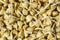 Sprouted buckwheat seeds close-up as a background. Vegan or lean menu, salad ingredients