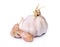 Sprouted garlic bulb