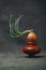 Sprouted onion on a brown vase on a colored background