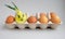 Sprouted onion in a lattice with brown eggs.a rabbit`s face is painted on the bulb.Easter decor