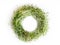 Sprouted onion seeds round wreath, top view, isolated on white