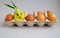 Sprouted onions in a grid with brown eggs.a rabbit`s face is drawn on the onion.Easter concept