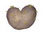 Sprouted potato heart