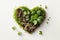 Sprouted radish seeds microgreens in box shaped heart. Earth Day. Seed Germination at home. View from above. Space for text.