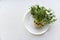 Sprouted seeds and pea stalks on a white plate